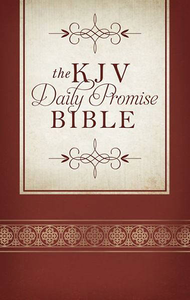 Picture of KJV Daily Promise Bible