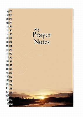 Picture of My Prayer Notes