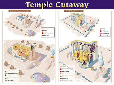 Picture of Temple Cutaway Wall Chart