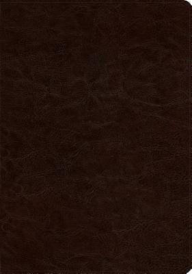 Picture of Study Bible-ESV