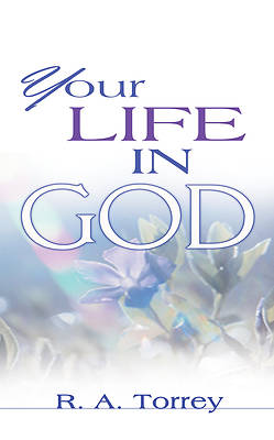 Picture of Your Life in God