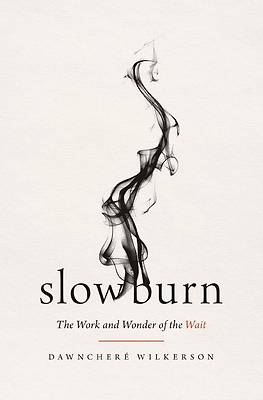 Picture of Slow Burn