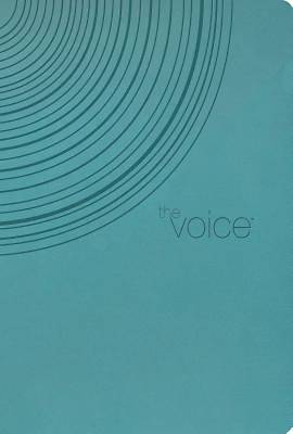 Picture of Voice Bible-VC