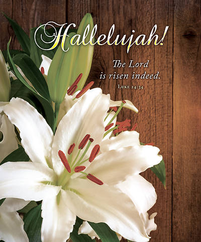 Picture of Hallelujah Lily Easter Legal Size Bulletin