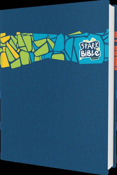 Picture of Spark Bible NRSVue Hardcover