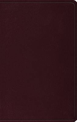Picture of ESV Thinline Bible (Burgundy)