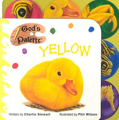 Picture of God's Palette Yellow
