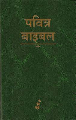 Picture of Hindi Bible-FL