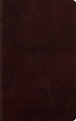 Picture of Large Print Personal Size Bible-ESV