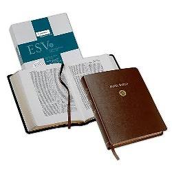 Picture of Wide Margin Reference Bible-ESV