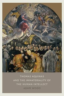 Picture of Thomas Aquinas on the Immateriality of the Human Intellect