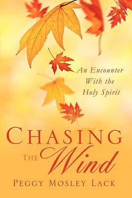 Picture of Chasing the Wind