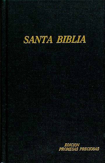Picture of Santa Biblia Edicion Promesas