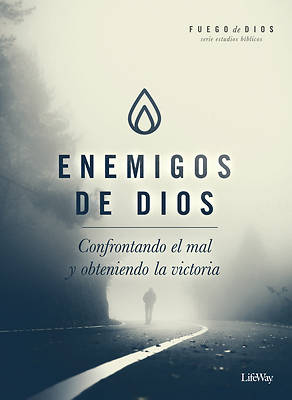 Picture of Enemigos de Dios