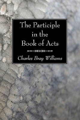 Picture of The Participle in the Book of Acts