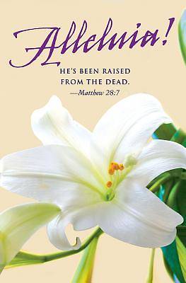 Picture of He's Been Raised Lilies Easter Bulletin (Pkg of 50)