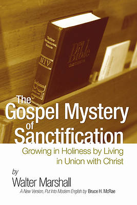 Picture of The Gospel Mystery of Sanctification