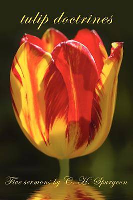 Picture of Tulip Doctrines
