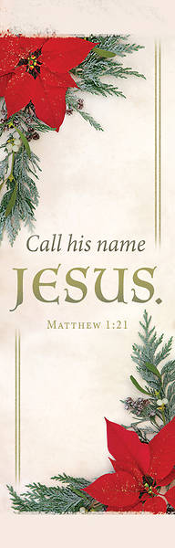 Picture of Call His Name Jesus Christmas Banner 2 x 6 Fabric