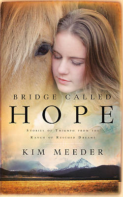 Picture of Bridge Called Hope