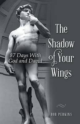 Picture of The Shadow of Your Wings
