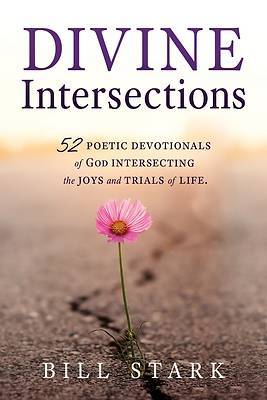 Picture of Divine Intersections