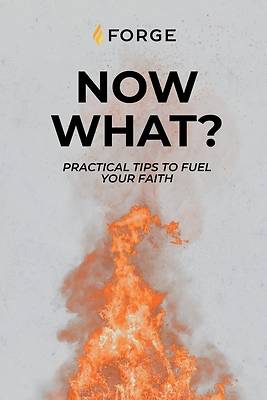 Picture of Now What?