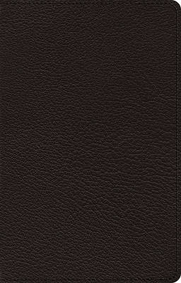 Picture of ESV Premium Thinline Bible (Goatskin, Black)