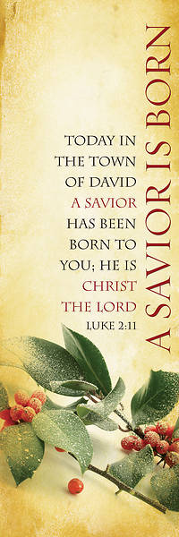 Picture of A Savior is Born 2'x6' Banner