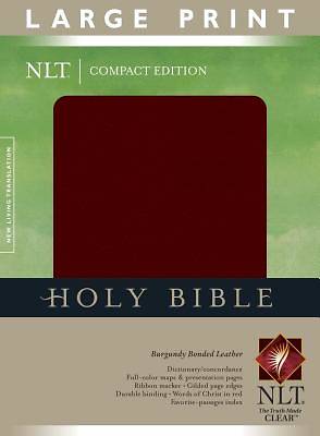 Picture of Large Print Compact Bible-NLT