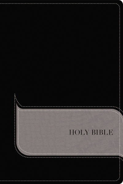 Picture of NIV, Understand the Faith Study Bible, Imitation Leather, Black/Gray, Indexed