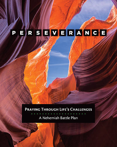 Picture of Perseverance