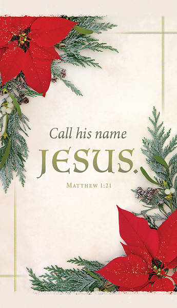 Picture of Call His Name Jesus Christmas Banner 3 x 5 Fabric