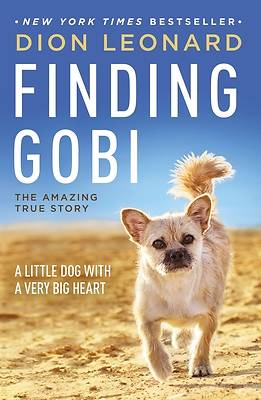 Picture of Finding Gobi