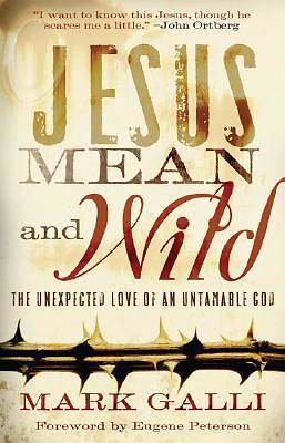 Picture of Jesus Mean and Wild