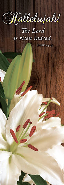 Picture of Hallelujah Lily Easter Banner 2 x 6 Vinyl