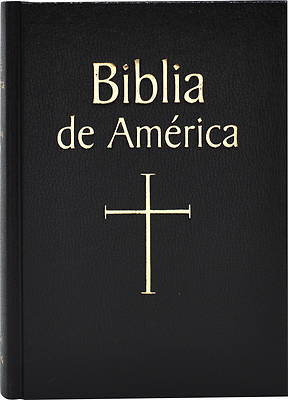 Picture of Biblio de America-OS