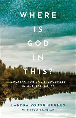 Picture of Where Is God in This?