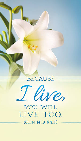 Picture of Because I Live Easter Lilys 3' x 5' Banner