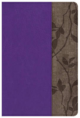 Picture of KJV Study Bible Personal Size, Purple with Brown Cork Leathertouch