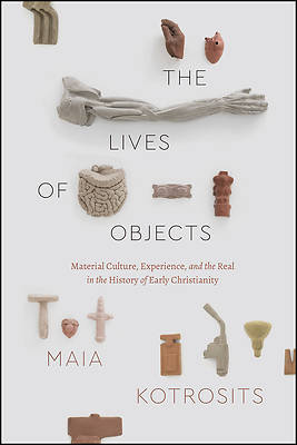 Picture of The Lives of Objects