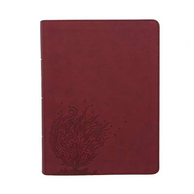 Picture of CSB Experiencing God Bible, Burgundy Leathertouch