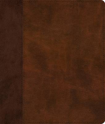 Picture of ESV Journaling Bible (Trutone, Brown/Tan, Timeless Design)