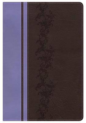 Picture of KJV Rainbow Study Bible, Brown/Lavender Leathertouch, Indexed