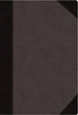 Picture of NIV, Faithlife Study Bible, Imitation Leather, Gray/Black, Indexed
