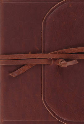 Picture of ESV Large Print Compact Bible (Flap with Strap)