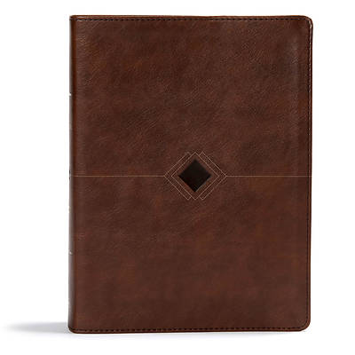 Picture of CSB Day-By-Day Chronological Bible, Brown Leathertouch