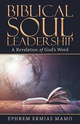 Picture of Biblical Soul Leadership