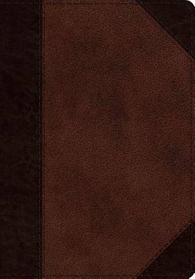 Picture of ESV Journaling Psalter (Trutone, Brown/Walnut, Portfolio Design)