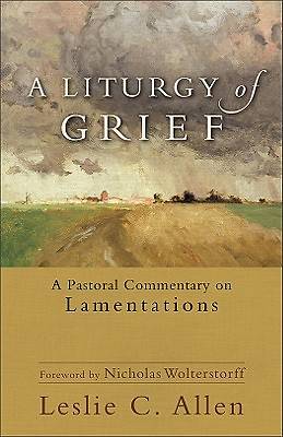 Picture of A Liturgy of Grief